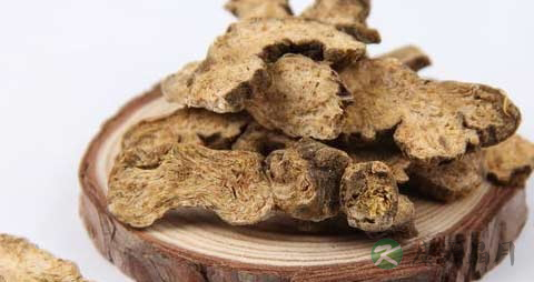 苍术的药用价值_苍术的副作用