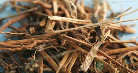 大戟的功效与作用