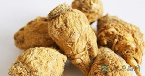 痛风能玛卡吗