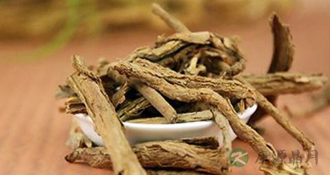 地骨皮的副作用
