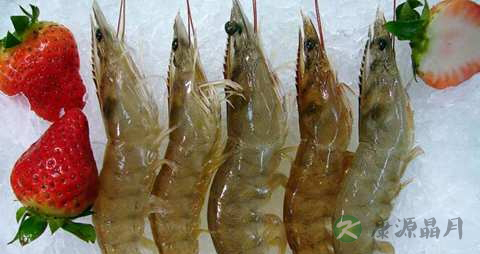 对虾的功效与作用