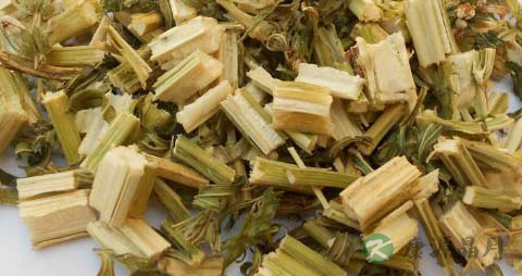 益母草的功效与作用
