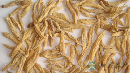 山麦冬的功效与作用_山麦冬的药用价值