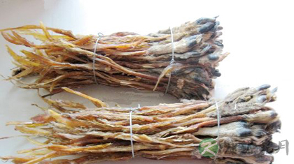 鹿筋的功效与作用_鹿筋的药用价值
