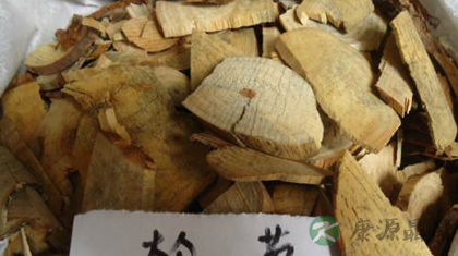 松节的功效与作用_松节的药用价值