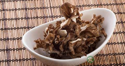 灰树花的功效与作用