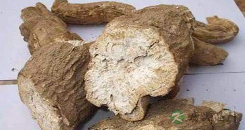防己的药用价值_防己的副作用