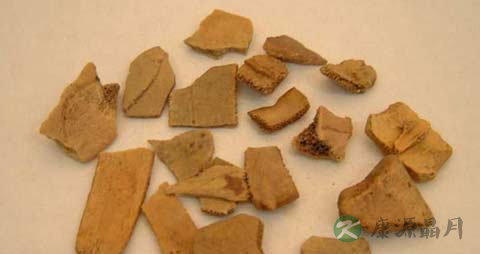 龟甲的药用价值_龟甲的副作用