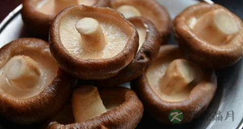 香茹的功效与作用