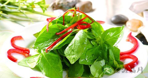 荆芥的功效与作用