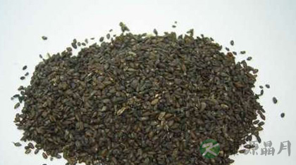 车前子的功效与作用_车前子的药用价值