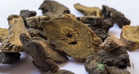 商陆的药用价值_商陆的副作用