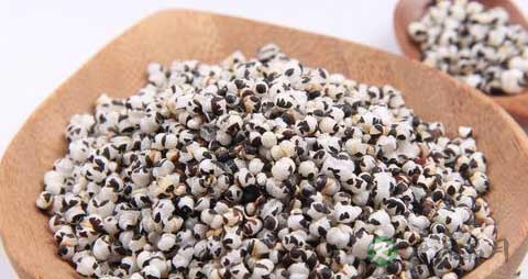 王不留行的药用价值_王不留行的副作用