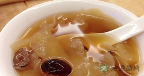 补气的中草药有哪些