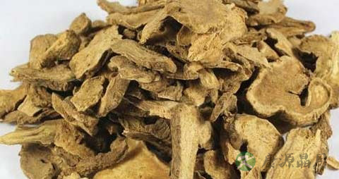 白术的药用价值_白术的副作用