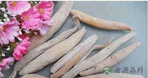 紫茉莉根的药用价值_紫茉莉根的副作用