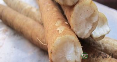 牛蒡根的功效与作用