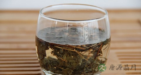 溪黄草的药用价值_溪黄草的副作用