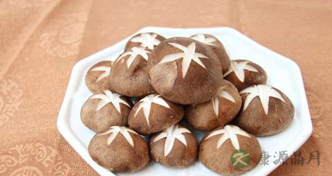 冬菇的功效与作用