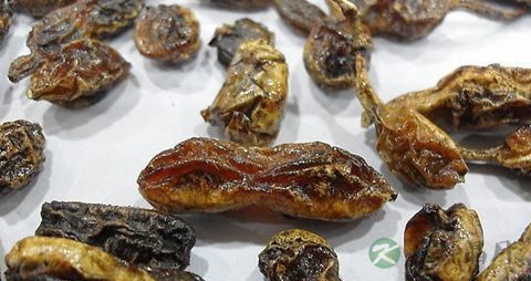 槐角的药用价值_槐角的副作用