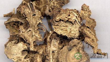 藁本的功效与作用_藁本的药用价值