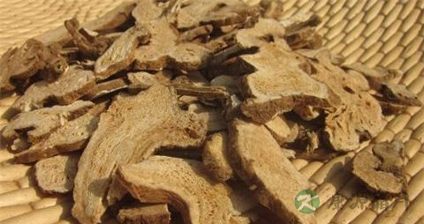 天雄的药用价值_天雄的副作用