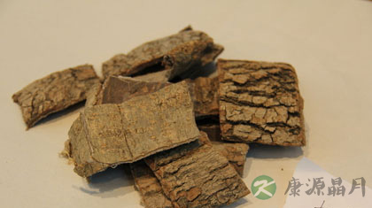 杜仲的功效与作用_杜仲的药用价值