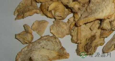 准备怀孕能不能吃玛卡