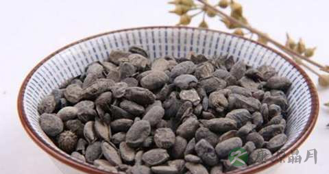 淡豆豉的功效与作用