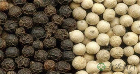 胡椒的药用价值_胡椒的副作用