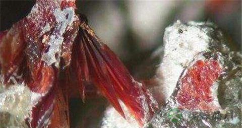 密陀僧的药用价值_密陀僧的副作用