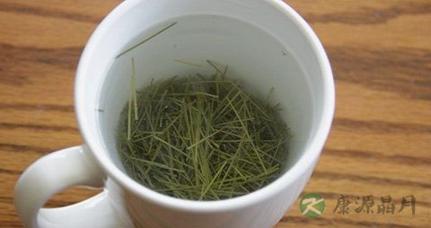 松针茶的副作用