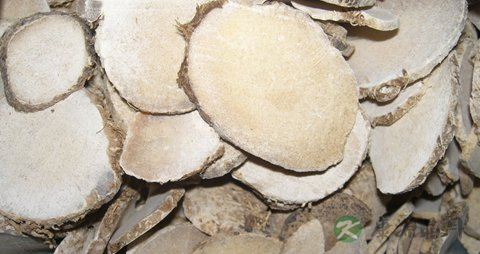 泽泻的功效与作用