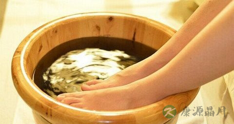 艾蒿能吃吗