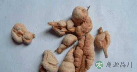 天竺黄的功效与作用