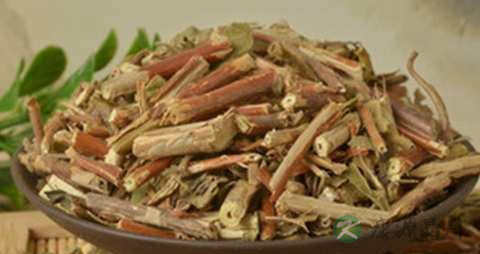 忍冬藤的药用价值_忍冬藤的副作用