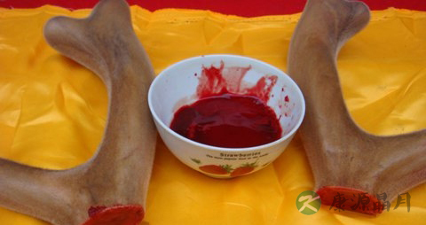 鹿血泡酒是怎么泡