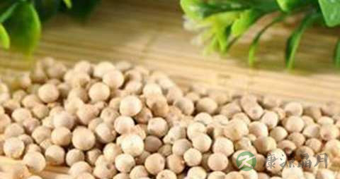 白胡椒的药用价值_白胡椒的副作用