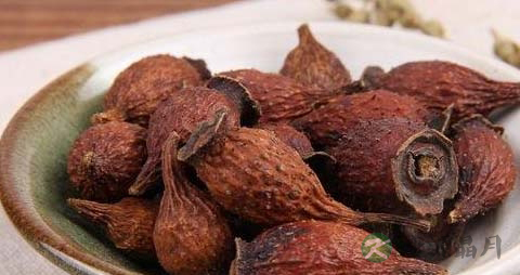 金樱子的药用价值_金樱子的副作用