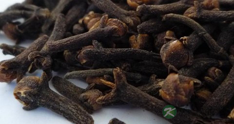 丁香的药用价值_丁香的副作用