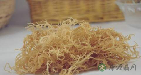 石花菜的功效与作用