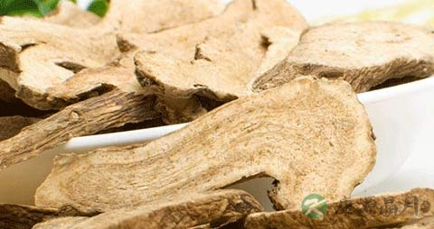 白术的药用价值_白术的副作用