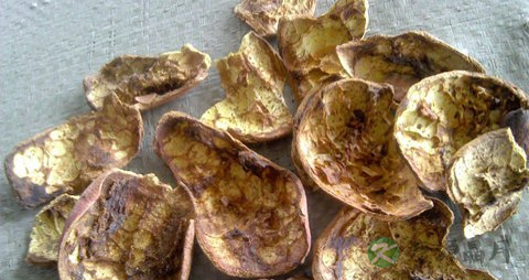 石榴皮的药用价值_石榴皮的副作用