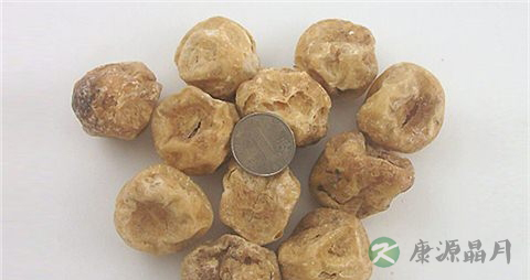 天雄的药用价值_天雄的副作用