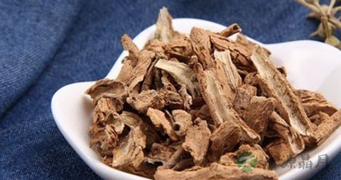 地骨皮的副作用