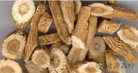 香加皮的功效与作用