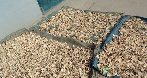 无花果根的药用价值_无花果根的副作用