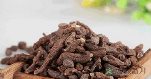 蕨麻的功效与作用