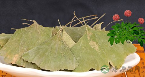 银杏叶的药用价值_银杏叶的副作用