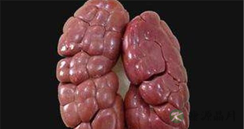 牛肾的功效与作用